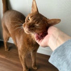 クネクネ甘えん坊ひめちゃん