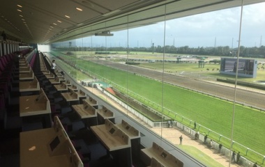 『アイビスサマーダッシュ2024　予想見解』の画像