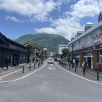 独身みーこのアロハ生活