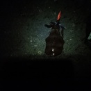 新潟エギング５