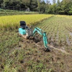定年後・田舎作って・コメ野菜
