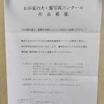 お散歩隊
