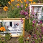 みーちゃんＨＯＵＳＥ