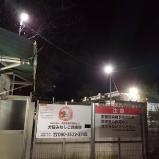 NPO犬猫みなしご救援隊・代表ブログ・みなしご庵へようこそ