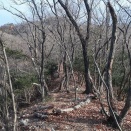 2026年1月11日 樺崎八番山･山王山･馬坂山