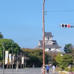 ねむねむ日記