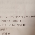【画像】発達障害ワイのIQ、めちゃくちゃ…
