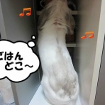 白玉くんのお部屋