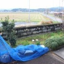 猫除けネット“復旧”して・・・Lunch &（夕食）買物