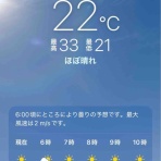 猫好きランナーの青梅ニャンRUN記