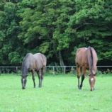 『初冠雪』の画像