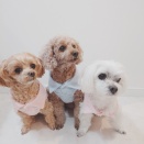 スリーコインズだよ♪