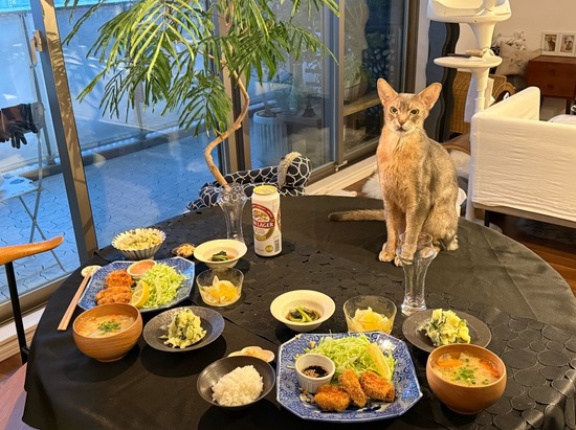 だんなさまごはんの、ヒレカツ定食の夜ごはん