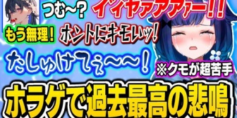 【ぶいすぽ】苦手なクモに追い掛け回されて過去最高の悲鳴と絶叫を上げるこかげちゃんｗｗ