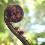 Masaの旅の途中〜ニュージーランド〜