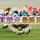 菊花賞 最終見解