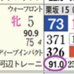 ハイブリッド競馬新聞