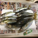 釣りYEAR 2014→2015!!<vol.33>