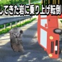 ネット民「半年で車が3回廃車になった」　→　どんだけ運転下手やねんと動画を見たら、この人は全然悪くなかった話…