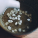 『【新潟】可愛すぎる伝統菓子「浮き星」⭐️』の画像