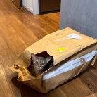 袋スキーとガタ子さん