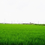 JN2TZBの無線ライフ(3)