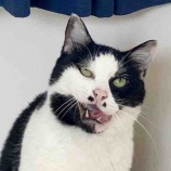 『てんてんの変顔＆お酒入荷情報』の画像