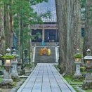 「仏教タントリズム」（密教）　連載第637回