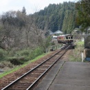 ２０２６年４月わたらせ渓谷鉄道撮影記～その５～