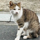 いよいよ両親に事情を説明する時がきた