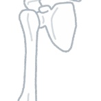 【有益】この『セルフ肩甲骨はがし』、即効性ありすぎてヤバい