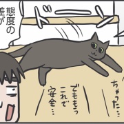 もう今日は薬を飲まされることはないから