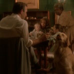 映画に登場する動物たち（主に犬、猫）