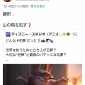 【悲報】海外ディズニーファン、公式の意味不明発言に困惑が止まらない