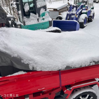 馬とニャンコと男と女