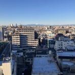 おてんば88歳・・日々録