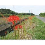 �ؾ��������߲֤θ������ϡ��٤β���