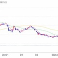 イオン：キャッシュバック 2025年8月権利(8267)