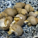 そこに居るのはかあ、ちゃんじゃ、ないですか。