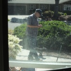 カリフォルニアのばあさんブログ