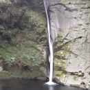 資産の推移　第四週（2025・12）