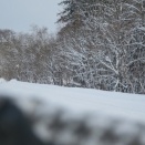 ２０２５年度　年末年始撮影記～その１０～