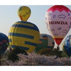 ��2016Ǯ����ۥ�������ץ곫�������٤β���