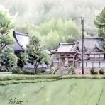 シニアから始めた透明水彩画