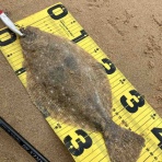 まずめな釣り師の釣行記