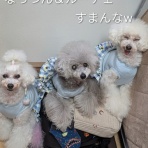 白ﾓｼﾞｬ&灰ﾓｼﾞｬ★Happy☆Days