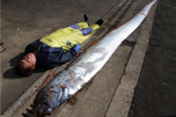 ライフ0 2chまとめ 地震