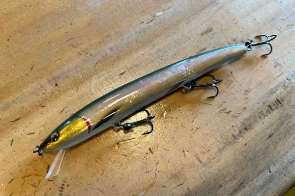 ORA Minnow Serendipity