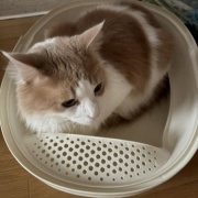 衣替えをして古着を売りに行こうと思ったら・・・