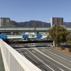 Mikageマダムの夕食レシピ